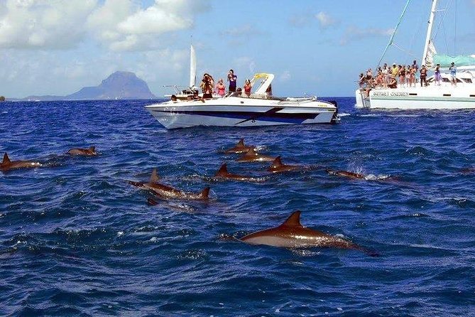 Dolphin Encounters, Ile aux Benitier & Crystal rock: Full-Day (Lunch & Transfer) - Crystal Rock and the Le Morne view