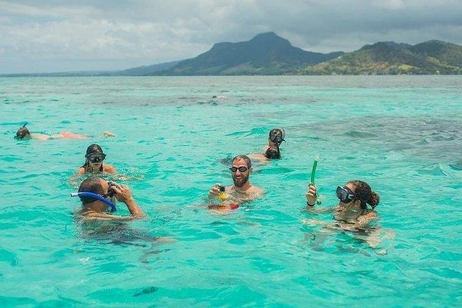 Dolphin Encounters, Ile aux Benitier & Crystal rock: Full-Day (Lunch & Transfer) - Guides, boat comfort, and group size