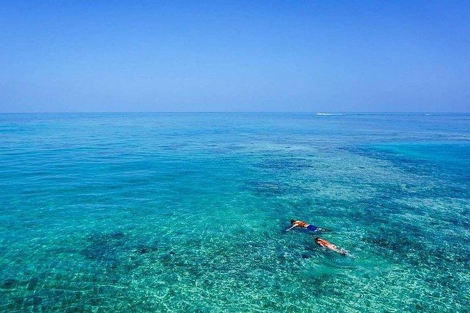 Dolphin Encounters, Ile aux Benitier & Crystal rock: Full-Day (Lunch & Transfer) - Who will enjoy this day most