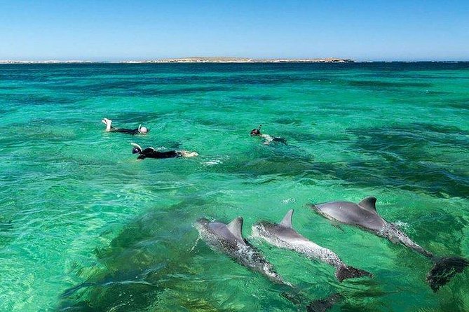 Dolphin Encounters, Ile aux Benitier & Crystal rock: Full-Day (Lunch & Transfer) - The 7:00 am pickup and ride to the west coast