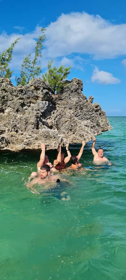 Dolphins: Private, Snorkel, CrystalRock, ileoBenitiers,lunch - A private morning on the water