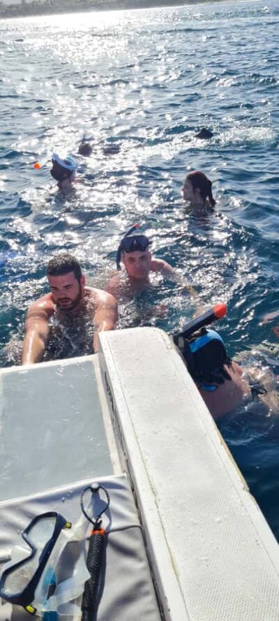 Dolphins: Private, Snorkel, CrystalRock, ileoBenitiers,lunch