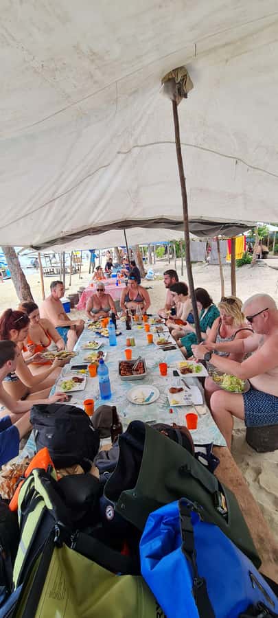 Dolphins: Private, Snorkel, CrystalRock, ileoBenitiers,lunch - Snorkeling in the natural aquarium