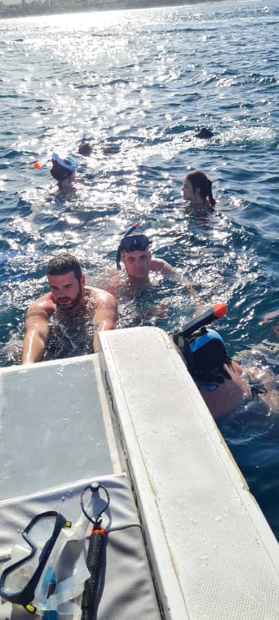 Dolphins: Private, Snorkel, CrystalRock, ileoBenitiers,lunch - Finding the right beach departure