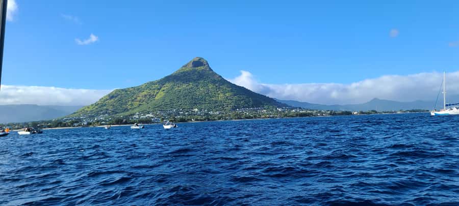 Dolphins & Whales, Private Tour Snorkeling - Crystal Rock and the changing colors of the sea