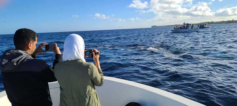 Dolphins & Whales, Private Tour Snorkeling - Who will enjoy this Mauritius boat trip most