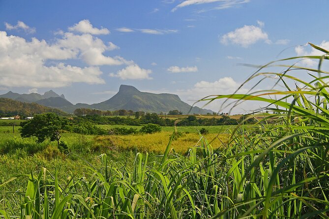 East of Mauritius: Full Day Scenic Tour with Lunch & Glass Bottom - Beau Vallon and the Mahebourg market show daily life