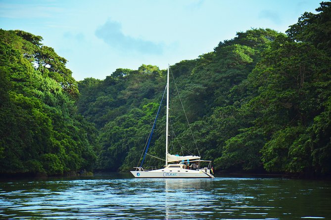 EAST Shared Cruise : OCÉANE Full day catamaran to Ile aux Cerfs - Snorkeling around Trou d’Eau Douce