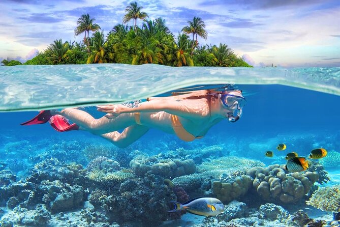 Eastern Treasures of Mauritius: incl Rhumerie St Aubin & Blue-Bay Marine Park - Mahebourg Museum and the island’s naval past