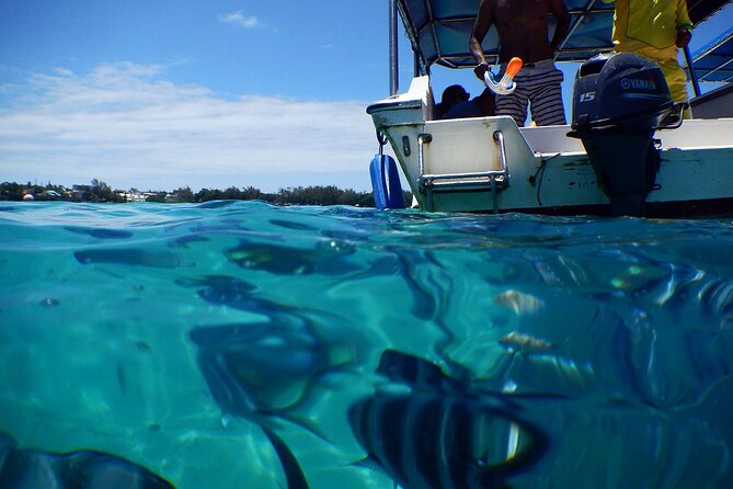 Eastern Treasures of Mauritius: incl Rhumerie St Aubin & Blue-Bay Marine Park - Mahebourg Waterfront and the Bataille de la Passe memorial