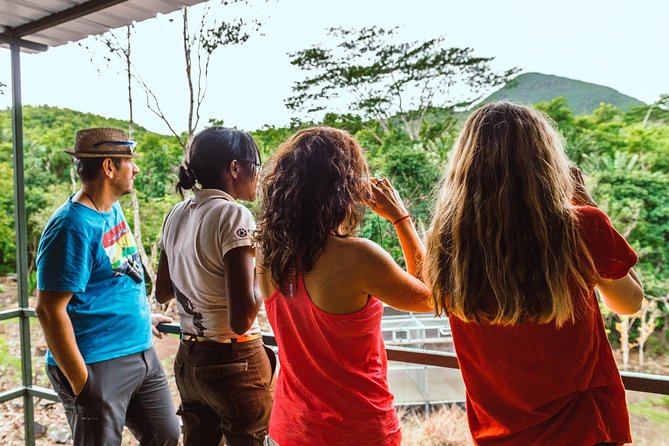 Ebony Forest Reserve Chamarel: Endemic Birdwatching Guided Tour - Key points at a glance