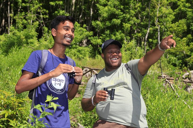 Ebony Forest Reserve Chamarel: Endemic Birdwatching Guided Tour - Starting with the museum and release aviaries