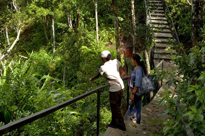 Ebony Forest Reserve Chamarel - Take a Hike Tour - The Ridgeline Trail to Sublime Point