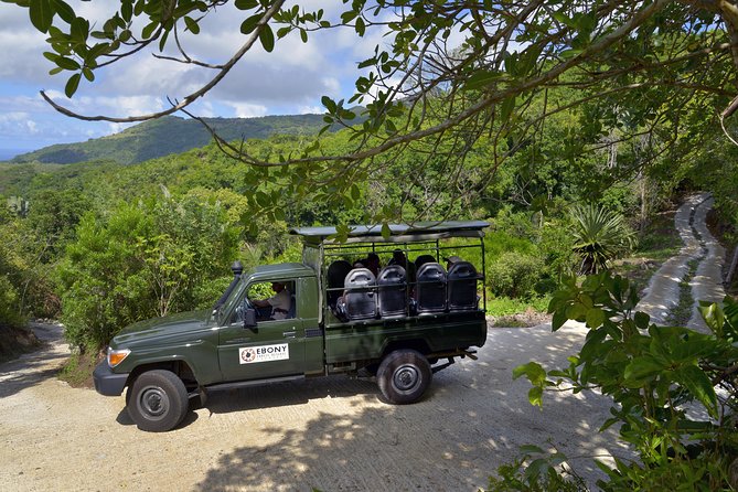 Ebony Forest Reserve Chamarel - Take a Hike Tour - What the ticket includes for $10.47