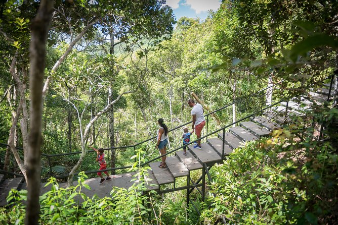 Ebony Forest Reserve Chamarel - Take a Hike Tour - Timing your visit without rushing