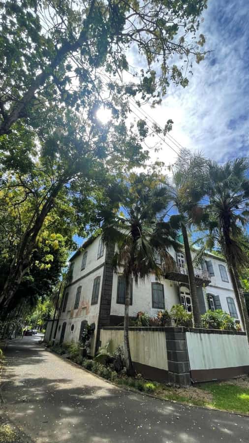 Embark on an Enchanting Excursion : Mahebourg Marvels - Why Mahébourg makes a strong half-day destination