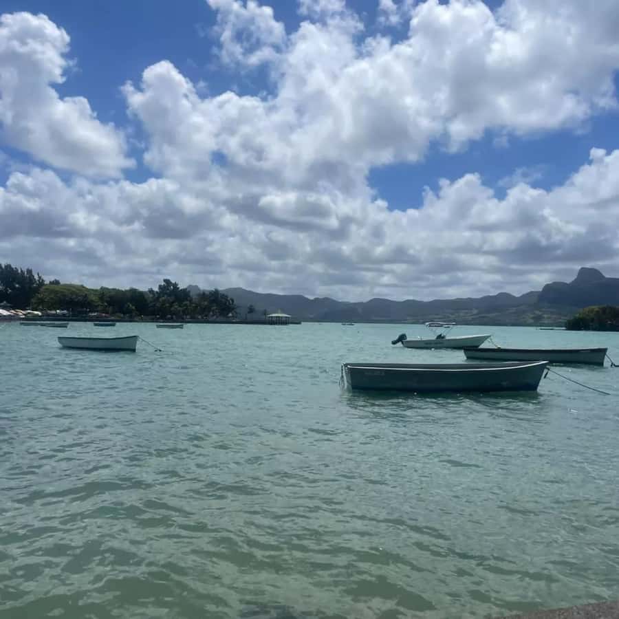 Embark on an Enchanting Excursion : Mahebourg Marvels - Local artists and the sound of the island