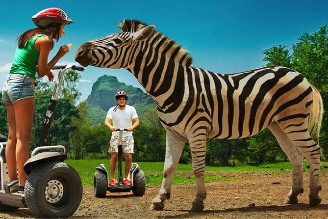 Enchanting South of Mauritius: Full-day tour Incl CASELA Park, Lunch & Transfer - Alexandra Falls shows Mauritius at its greenest