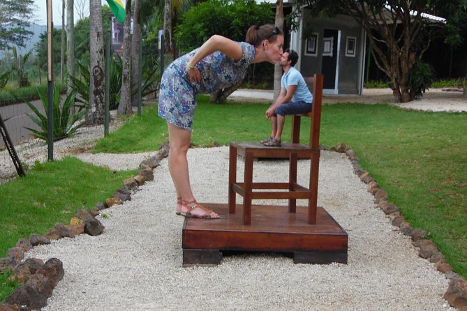 Entrance Ticket To Curious Corner of Chamarel - Entering the upside-down room