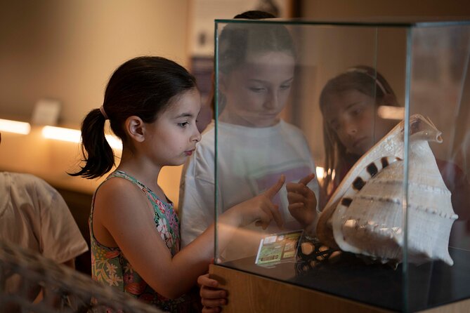 Entrance Ticket to World of Seashells museum - Why the shell theorem adds more than decoration