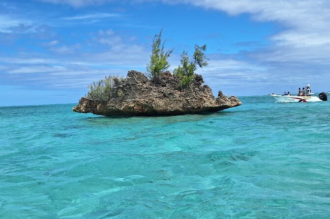 Exciting Dolphin encounters in the Maurtius's lagoon - A reef snorkeling stop adds value