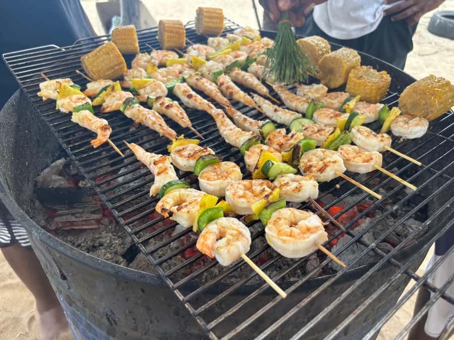 Exclusive:full-day/Dolphins watch& swimming Crystal Rock+Bbq - Swimming with a guide in open water