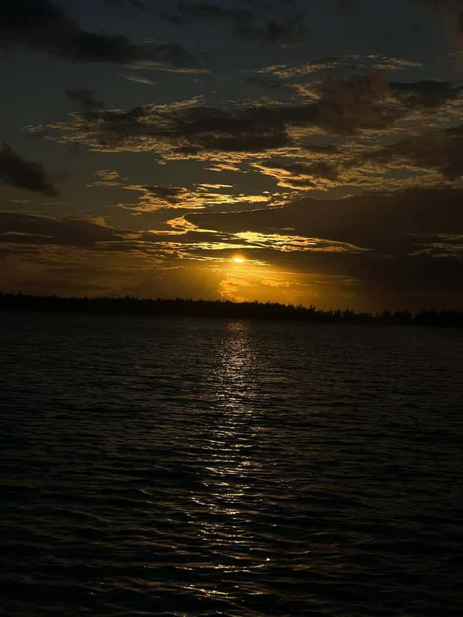 Exclusive:full-day/Dolphins watch& swimming Crystal Rock+Bbq - Seafood lunch on Bénitiers Island