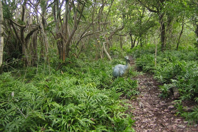 Exotic East of Mauritius: Full-day incl Ile aux Aigrette & Blue-Bay Marine Park - Mahebourg Waterfront and the Battle of Grand Port