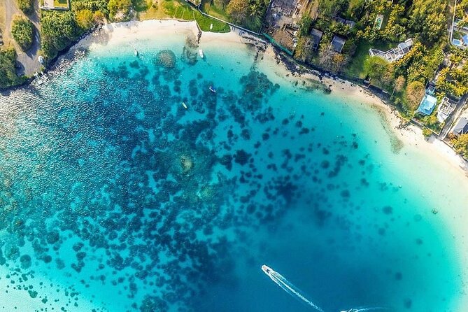Exotic East of Mauritius: Full-day incl Ile aux Aigrette & Blue-Bay Marine Park - Mahebourg Market: the most local stop