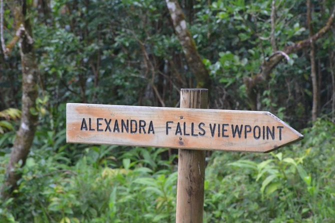 Exotic South: Journey into the Nature (Full-Day Tour incl Lunch & Ebony Forest) - Ebony Forest: the best part of the day