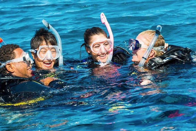 Exploration dives - Meeting the team and getting ready on shore