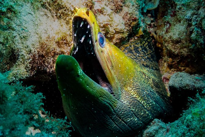 Exploration dives for experienced divers - Why the small group matters