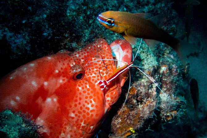 Exploration dives for experienced divers - Equipment, organization, and the human side