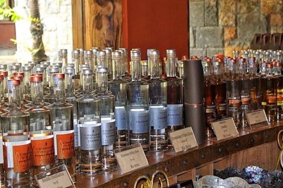 Explore the Southwest with Local Lunch & Rum Tasting - Grand Bassin: Mauritius’s Sacred Lake