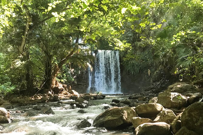 Explore The Wild South - Cascade Mamzelle, natural basins, and water stops