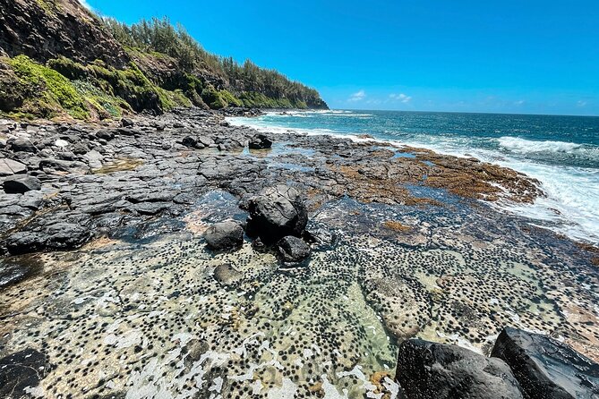 Explore The Wild South - A guided walk with real effort