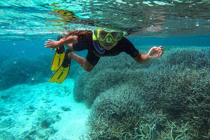 Exploring the Magnificent East of Mauritius: Full-day incl Blue Bay Marine Park - Key things to know before booking