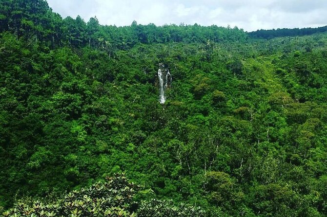 Fascinating Nature Tour Incl Ebony Forest, 7 Coloured Earth,Lunch - Why this Mauritius day tour works