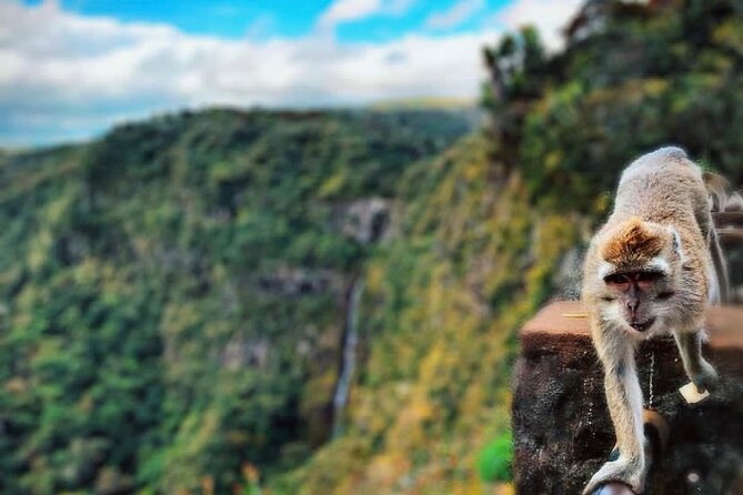 Fascinating Nature Tour Incl Ebony Forest, 7 Coloured Earth,Lunch - Alexandra Falls and Black River Gorges add the mountain scenery