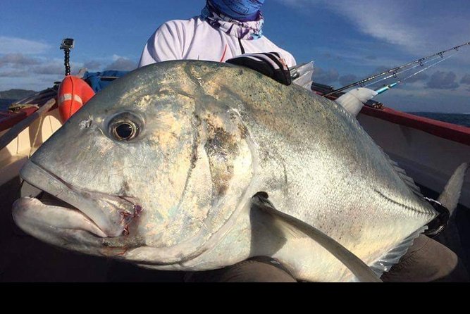 Fishing Trips. Popping, jigging, big game, live bait - Key points to know before you book