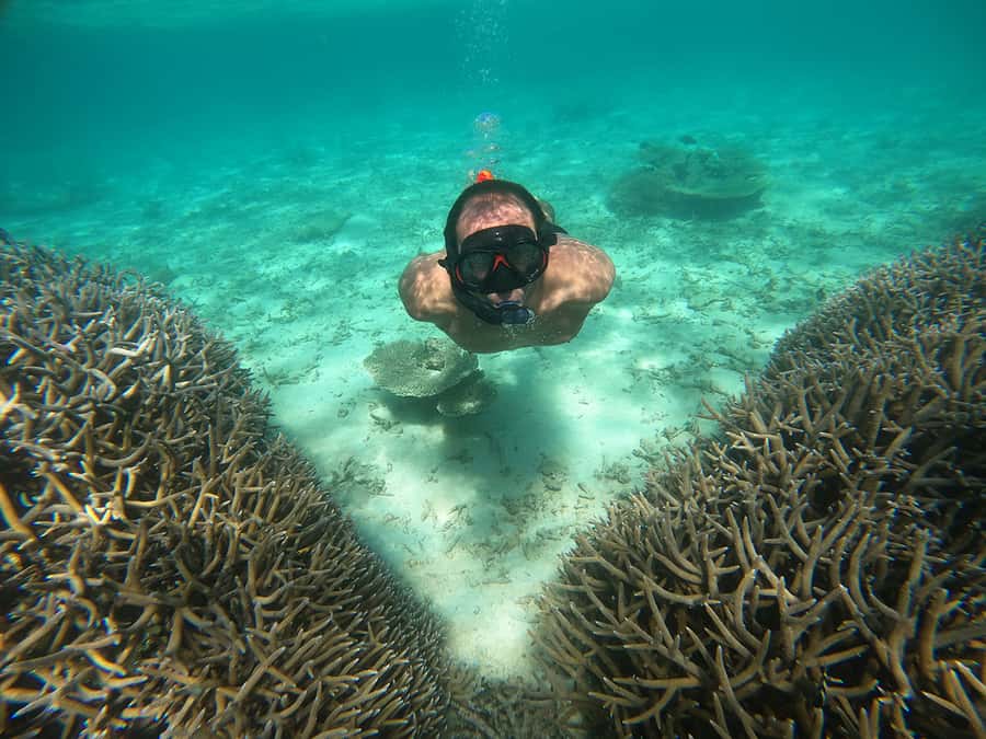 From Blue Bay: Ile aux Cerfs Speedboat Excursion with BBQ - 35 minutes in Blue Bay Marine Park