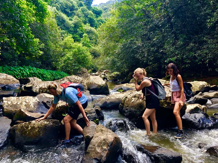 From Chamarel: Waterfall Eco-Hike Adventure - The gorge descent is the real test