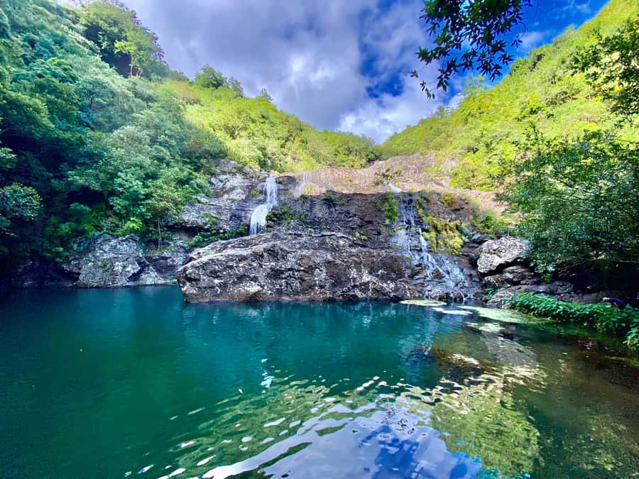 From Quatre Cocos: Tamarind Falls Hiking Day Trip - A forest route with real physical demands