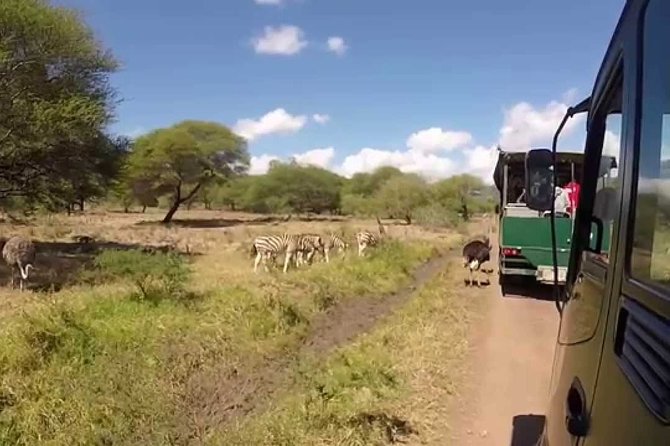 Full Day at Casela World of Adventures (Transport Only) - Key Points Before You Book