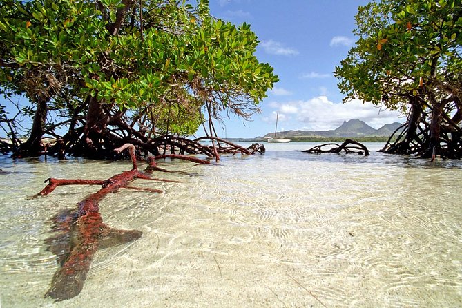Full-Day At Ile Aux Cerf: Speed Boat, GRSE, Lunch On A Private Island & Transfer - The speedboat crossing to Ile aux Cerfs