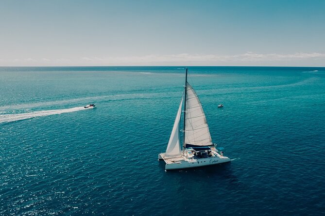 Full Day Catamaran Cruise on shared basis to Bénitiers Island - The Value of Six Hours and $90.59