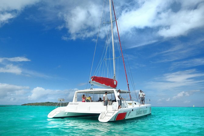 Full-Day Catamaran Cruise to Île aux Cerfs with BBQ Lunch - Who will enjoy this catamaran day?