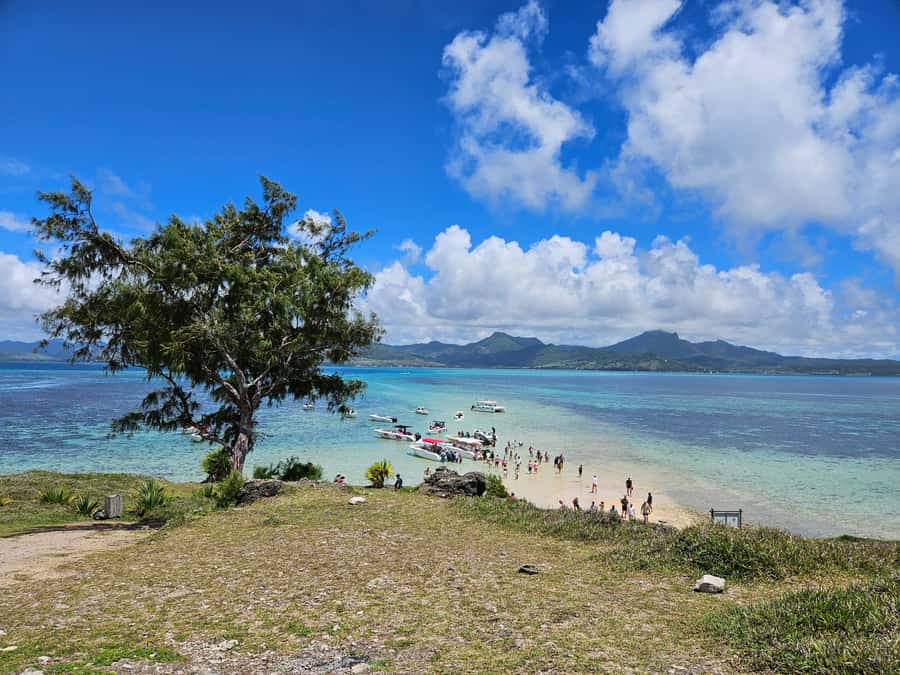 FULL-DAY CATASPEED - East Lagoon cruise including transfer. - Island one: Ile aux Flamants