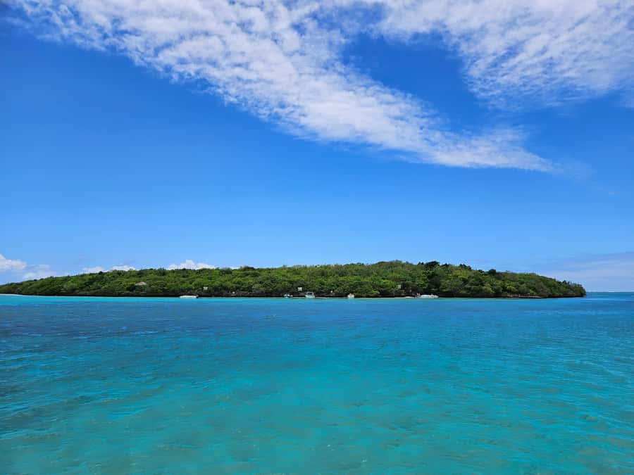 FULL-DAY CATASPEED - East Lagoon cruise including transfer. - Ile aux Phares and Ile de la Passe