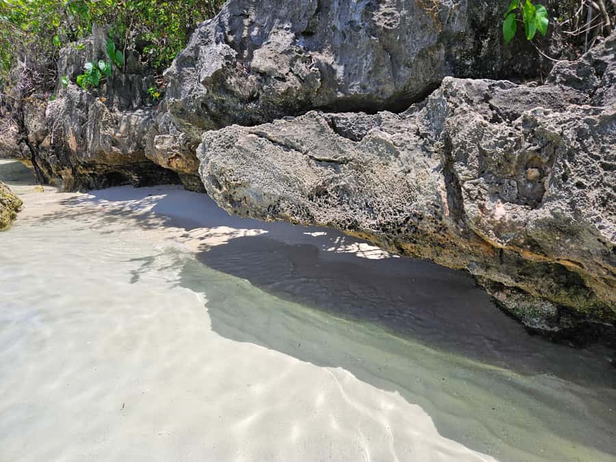 FULL-DAY CATASPEED - East Lagoon cruise including transfer. - Ile aux Aigrettes and the island-route question